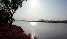 南京鱼嘴湿地公园游记