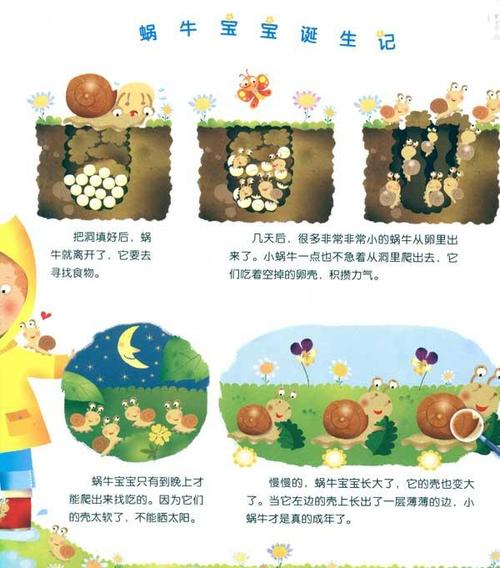 小蜗牛的观察