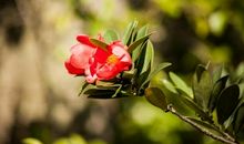 怎能忍心错过那抹暖阳