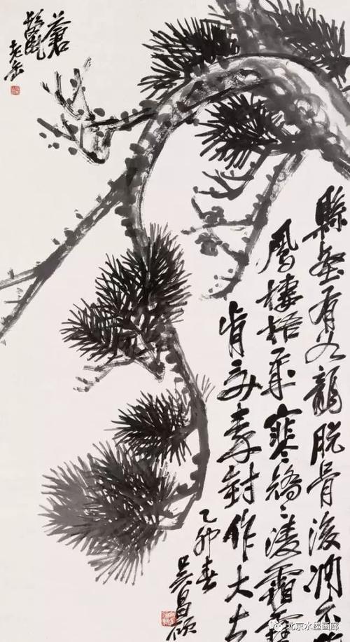 我老院子里的松树