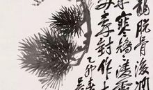 我家老院的松树