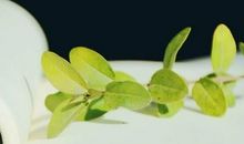 那一次，我真不舍