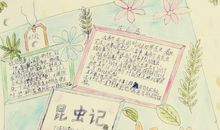 雨的四季读后感