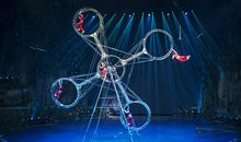 观长隆国际大马戏表演