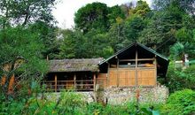 美丽的房前屋后