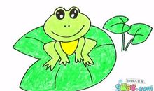 小青蛙找朋友