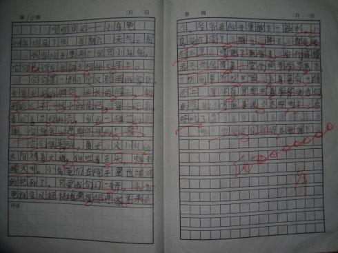 小乌龟的观察组成