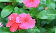 那一刻我的心中春暖花开