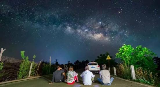 夏夜青蛙