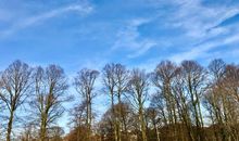 一个并不晴朗的日子