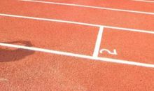 参加运动会的感想