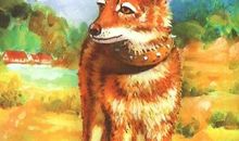 豺王白眉儿读后感