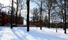 冬日里的一丝温暖