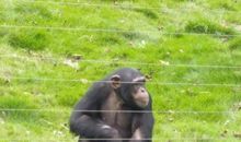 成长的路上你牵着我的手