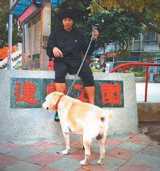关于walking狗的有趣事实