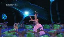 我喜欢的一个春晚节目