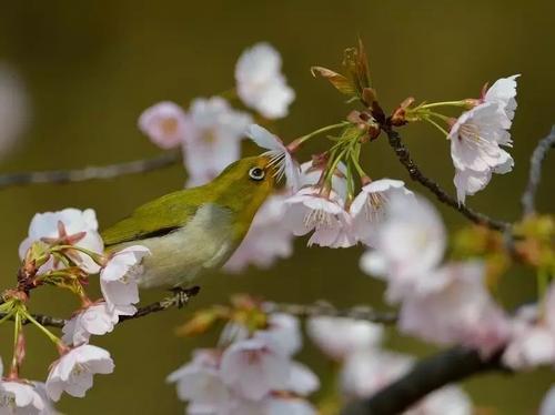 在你的心中树立理解