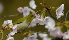 把理解种在心里