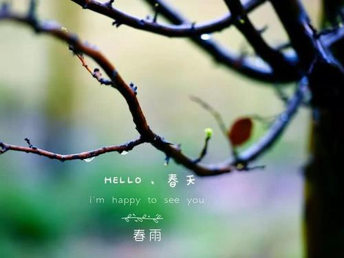 雨滋养了我的灵魂