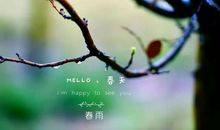 雨滋润我的心灵