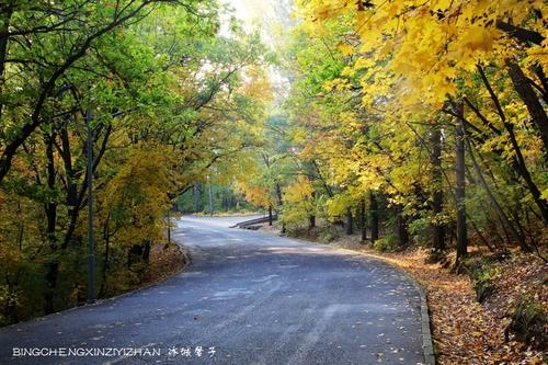 一个特别的秋天