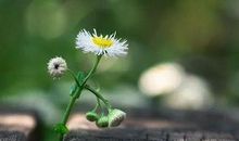 逆境有利于人的成长