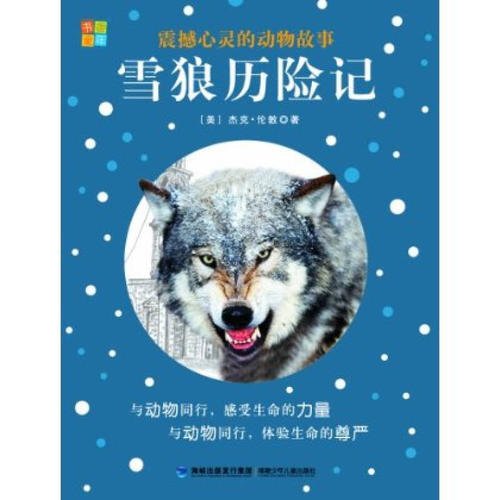 一点学术感动我的心