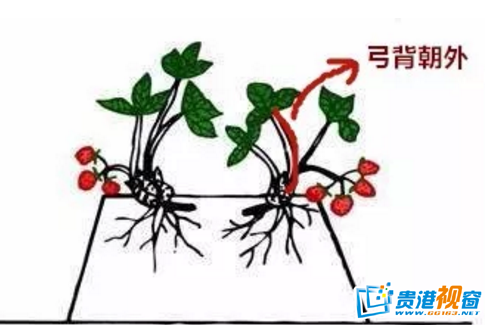 那很棒