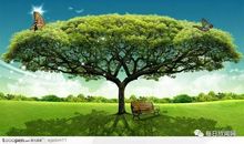 藏在大树里的我