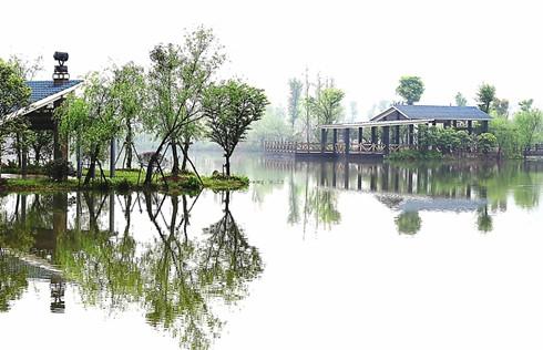 在古镇的湿地公园