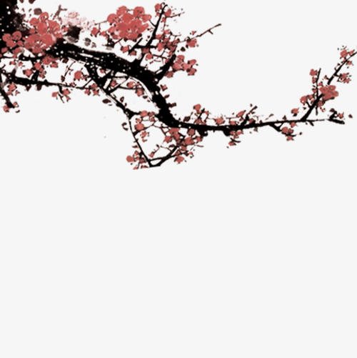 梅花生活