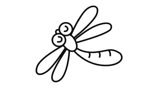 蜻蜓简介