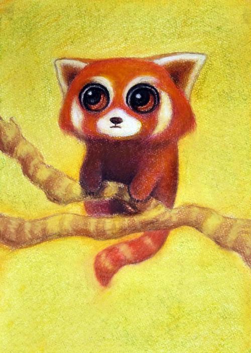 我的老师智多星