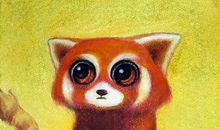 我的智多星老师