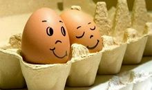 藏在鸡蛋里的爱