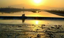 我家乡的母亲河