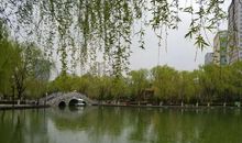 游柳湖公园