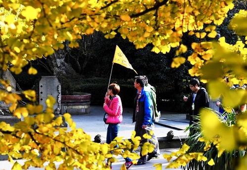又是秋天