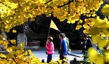 又是一年秋来时