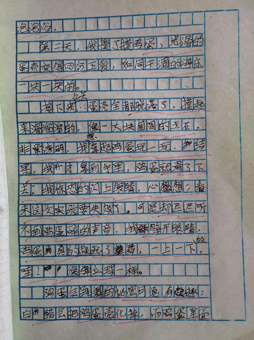 跳舞的鸡蛋组成