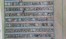 会跳舞的鸡蛋作文