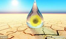 有一种成长叫挫折