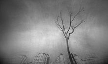 爱的世界里没有悲伤