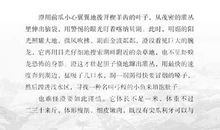 读《龙彩龙鸟》有感