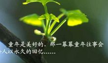 故乡的桂花又开了——读《桂花雨》有感