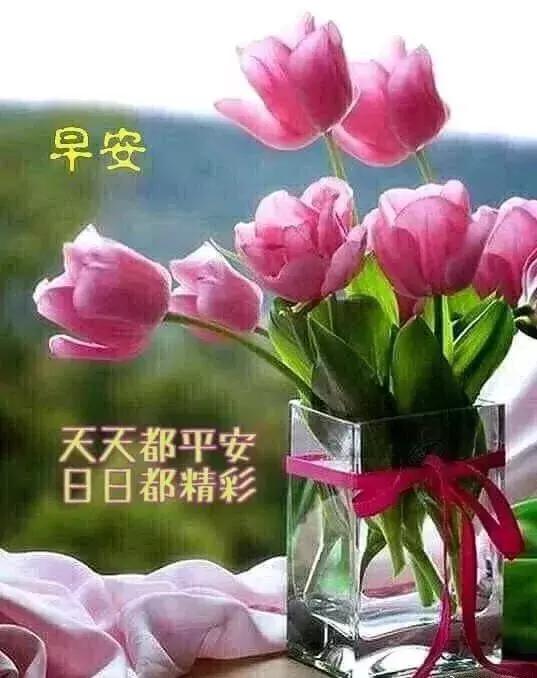 征服自己其实很简单