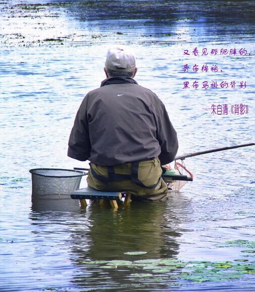 我的心背