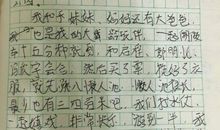 《导盲犬迪克》读后感