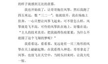 关于风筝的作文