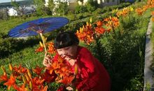 留在心底的美好